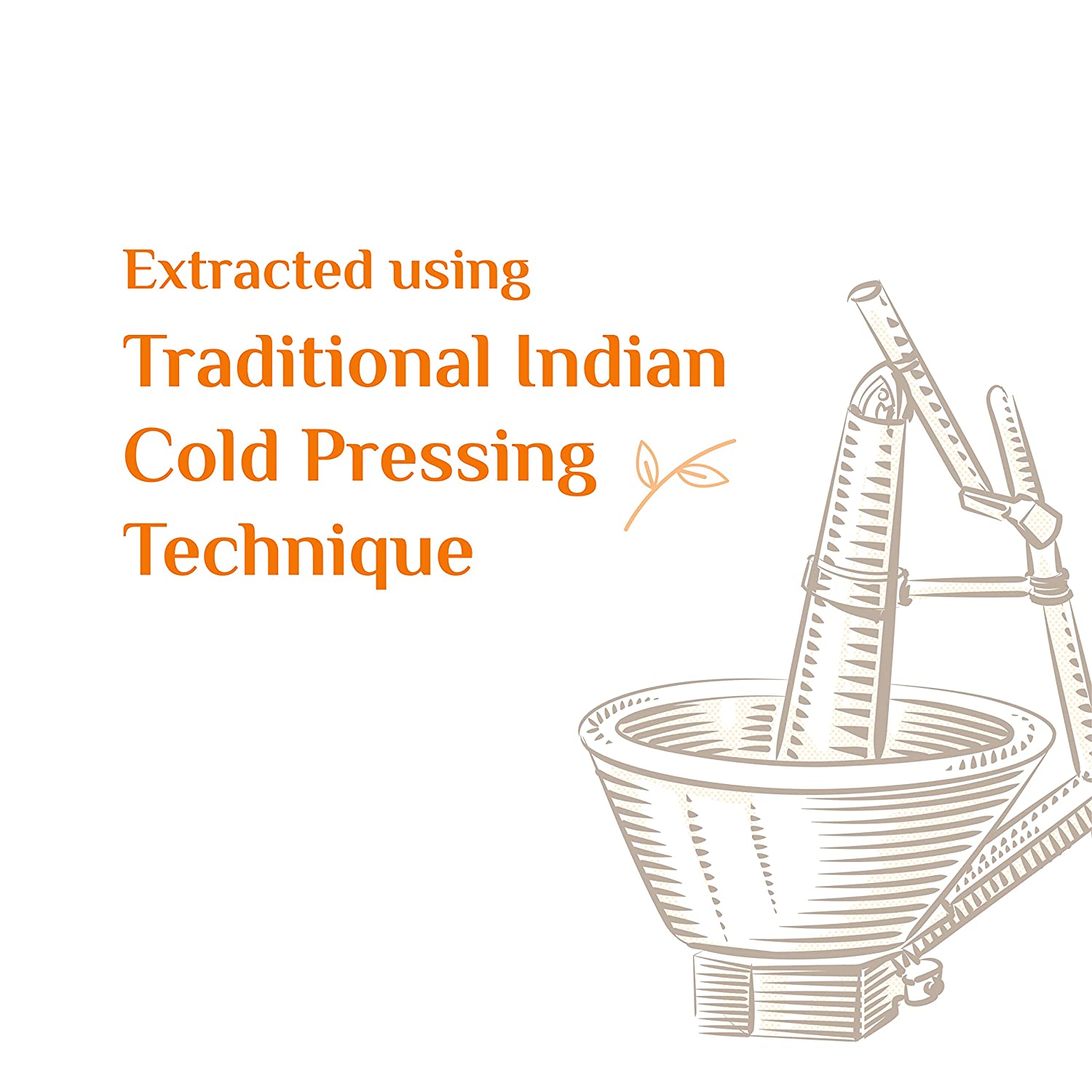 Cold Pressed Mustard Oil - 5L